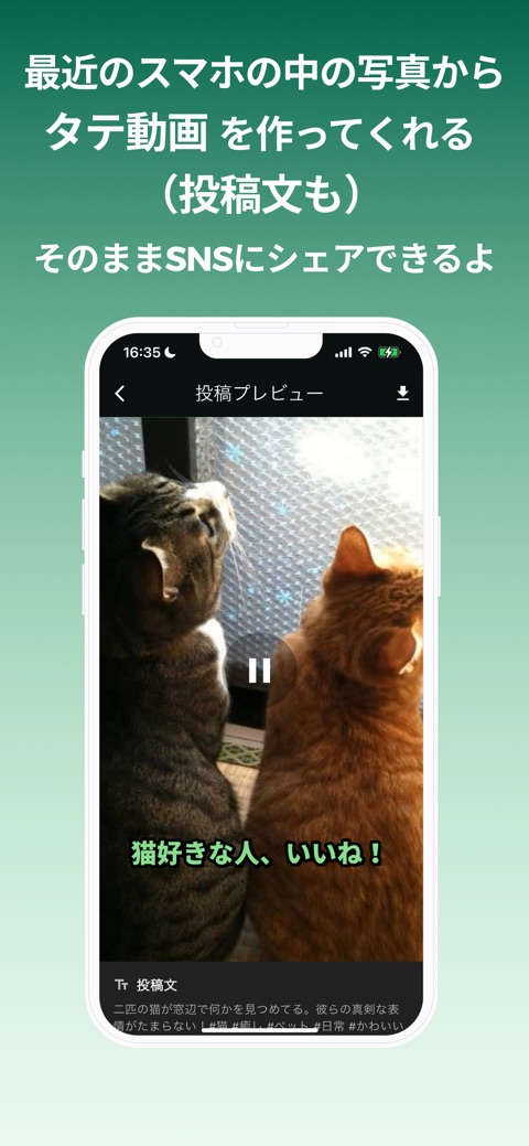 投稿プレビュー画面。猫の写真から作られた縦動画と、AIが書いた投稿文