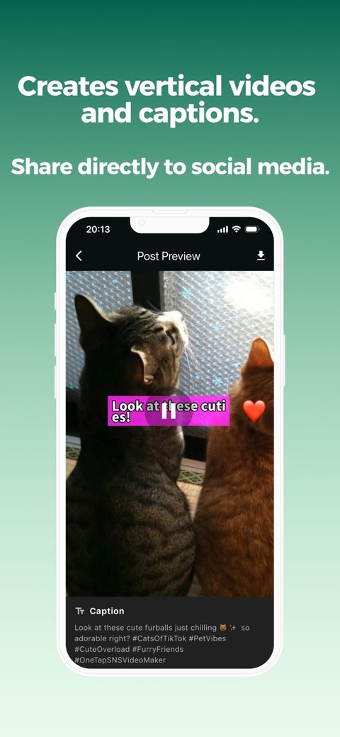 Post preview screen showing a vertical video of two cats and the AI-written caption