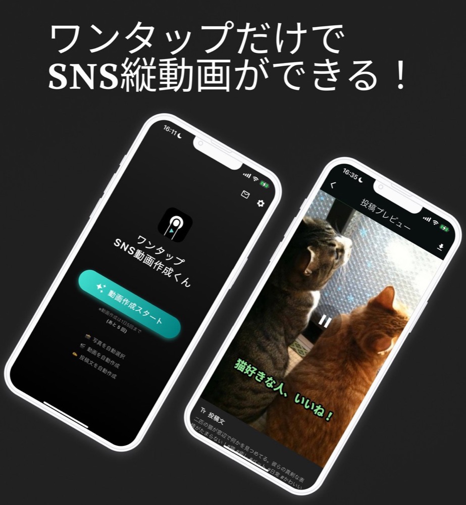 アプリの画面。「動画作成スタート」ボタンのあるホーム画面と、猫の写真から作られた縦動画の投稿プレビュー画面